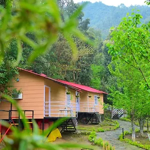 https://aaroham-resort-shimla-1.shimlahotels.net